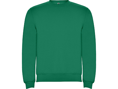 Свитшот с начесом Clasica унисекс (Зеленый)