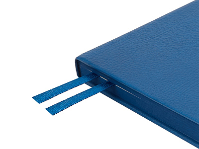 Ежедневник недатированный А5 Megapolis Nappa