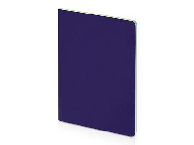 Бизнес-тетрадь А5 Pragmatic Contrast (Фиолетовый/салатовый)