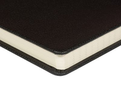 Ежедневник А5 датированный Megapolis Loft на 2026