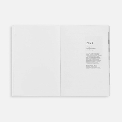 Ежедневник Baza, датированный, красный