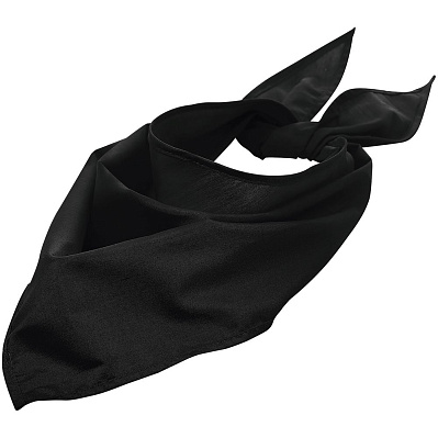 Шейный платок Bandana, черный (Чёрный)