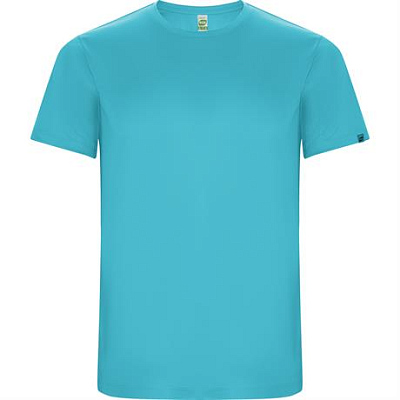 Спортивная футболка IMOLA мужская, БИРЮЗОВЫЙ 3XL (Бирюзовый)