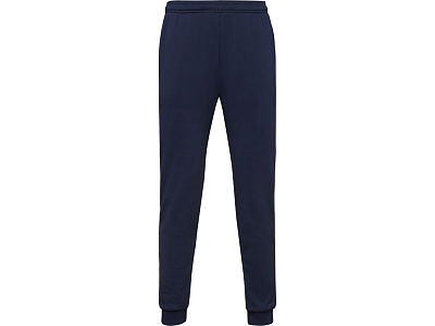 Брюки спортивные Rodas, мужские (Синий нэйви)