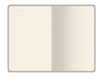 Ежедневник недатированный А5 Soho