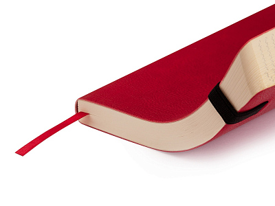 Ежедневник недатированный А5 Vincent