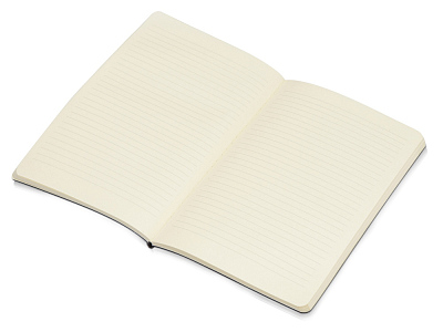 Блокнот А5 Softy soft-touch