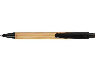 Ручка шариковая Borneo