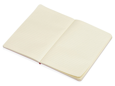 Блокнот А5 Softy soft-touch