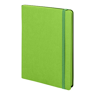 Бизнес-блокнот "RILY", формат А5,  зеленое яблоко, блок в точку (Зеленое яблоко)