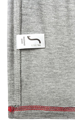 Футболка мужская Regent Fit 150, коричневая (терракотовая)