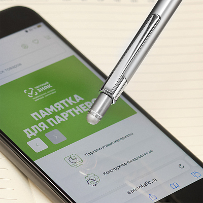 Шариковая ручка Леви (Levi), серая