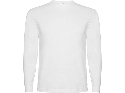 Футболка с длинным рукавом Pointer мужская (Белый)