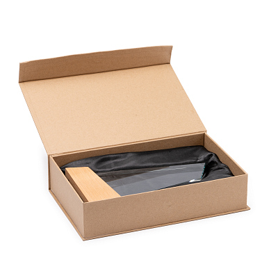 Стеклянная награда NAVIS