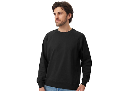 Свитшот оверсайз с рукавом реглан Belgrade, унисекс