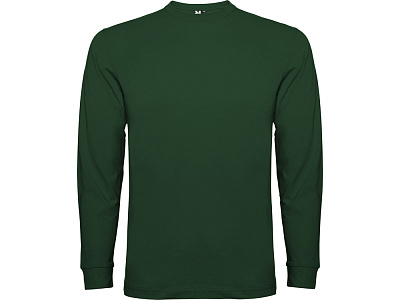 Футболка с длинным рукавом Pointer мужская (Бутылочный зеленый)