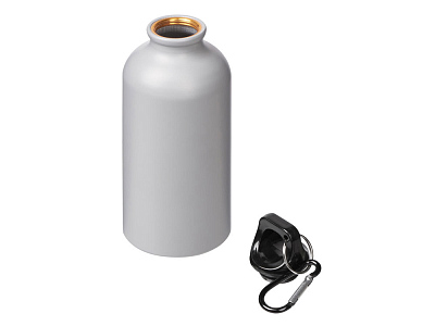 Бутылка Hip S с карабином, 400 мл, матовая