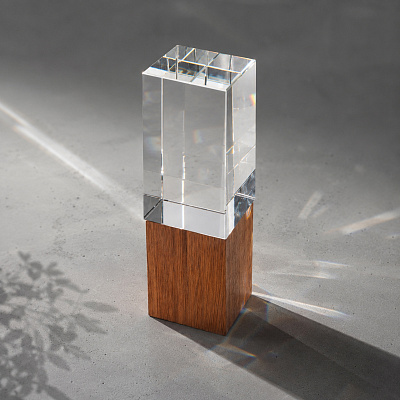 Награда Wood and glass (Прозрачный/дерево)