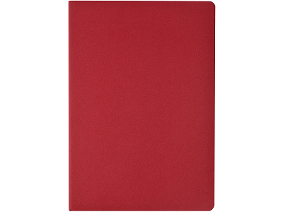 Бизнес-тетрадь А4 Pragmatic