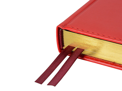 Ежедневник недатированный А5 Parliament