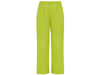 Брюки Vademecum, унисекс (Фисташковый)