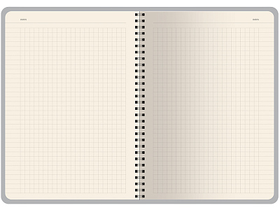 Бизнес тетрадь А5 Pragmatic